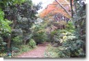 本丸園地 本丸園地